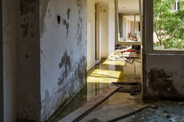 Cost of Water Removal Service in Smyrna