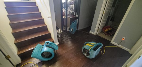 Water Damage Remediation in Smyrna