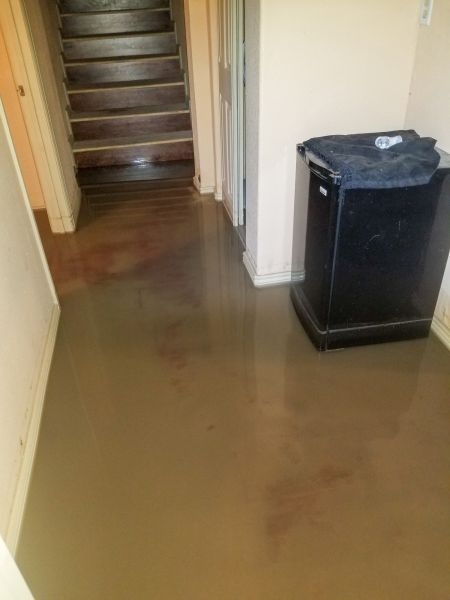 Cost of Emergency Water Removal in Smyrna