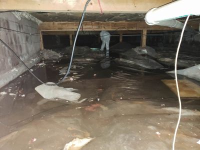 Water Damage Restoration in Action