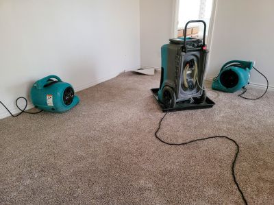 Water Damage Technicians